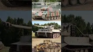 Танки зверобои. Если хотите взять идею напишите автора точнее меня