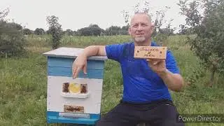 Внимание - пчёлы воровки! Пора готовиться к серьёзной битве на пасеке! Не упустите важный момент!