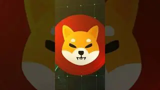 Next Shiba Inu Is Waiting For You !!