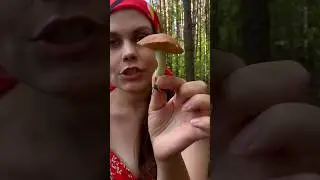 Помоги и подпишись) #девушка #красота #деревня #красивая #лес