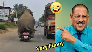 Very Very Funny Videos 2026😂 Try Not To Laugh Challenge😂 Top 100 Funniest Video 🤣 part 29