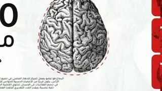 هذا خلق الله - محمد راتب النابلسي