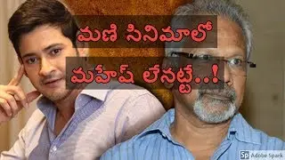 Mahesh not in Mani Ratnam movie మణి సినిమాలో మహేష్‌ లేనట్టే..!
