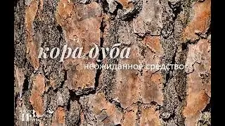 Дубовая кора от сыпи спасла