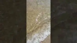 чорне море
