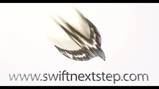 Swift - Learn Lazy Story Property