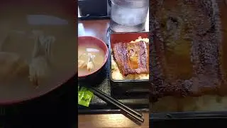 Eel With Japanese Rice and Seep soup