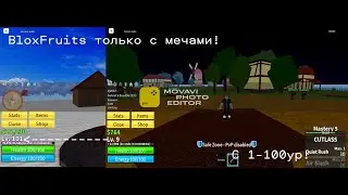 BloxFruits 1-2550 ур. только с мечами / 1 серия 1-100 ур.