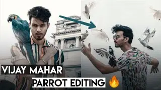 Vijay mahar newest parrot editing || Trending photo editing || #EditorKing