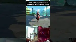 when I realized that I was the only one still playing Genshin Impact 