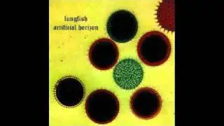 Lungfish - Black Helicopters