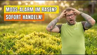 Moos im Rasen entfernen | Vertikutieren, Aerifizieren, Sanden