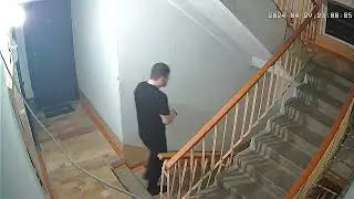 ночной вайб