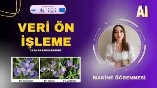 Veri Ön İşleme Nedir? | Iris Dataset ile Uygulamalı Python Eğitimi 