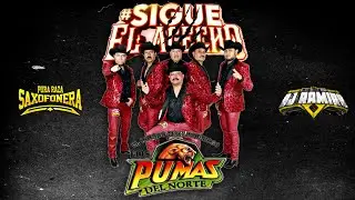 Los Pumas Del Norte - Exitos Perrones @PuraRazaSaxofonera @DjRamiroElDjDeLaRaza 2024