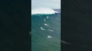 Jaws was hungry 🎥:tuckerwooding