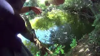 JACKALL BPM BASS FISHING