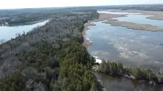 Springtime Marsh: A Beautiful Oasis Of Nature