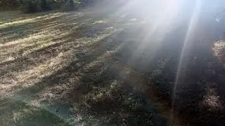 За первым лучом