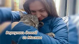 Вернулась домой из Москвы. Встреча с котом. Проблемы в саду.