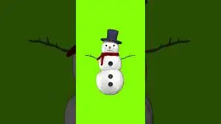 Christmas Ornament Green Screen Overlay 