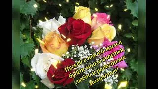 С Днём Рождения, Светлана!