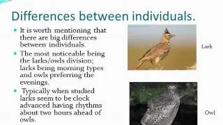 Biological Rhythms (Timed)