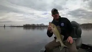 River Jigging: Spring White Bass & Walleye (Part III)