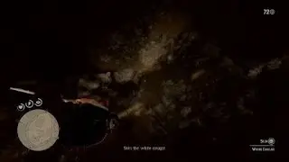 Red Dead Redemption 2_20250427215121
