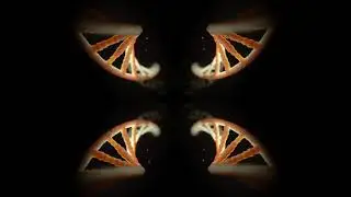 Hologram DNA