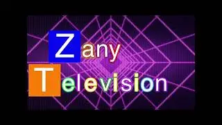 Custom Zany Televison logo for 