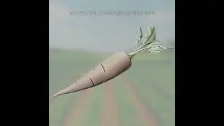 Carrot 3D Modeling 