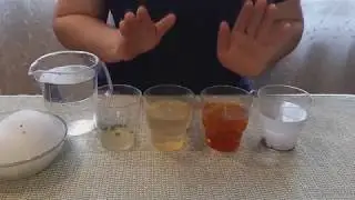 ОБРАБОТКА СЕМЯН для РАССАДЫ! Для быстрых и крепких всходов!