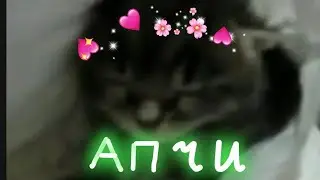 Котенок чихнул (оригинальние оригинала)