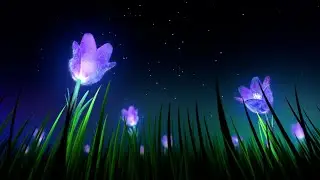 FALL INTO SLEEP INSTANTLY • Healing of Stress, Anxiety and Depressive States • INSOMNIA Relief