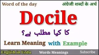 Docile Meaning in Urdu