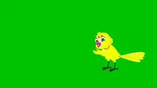 cartoon birds ||nocopyright green screen birds |tuni charia|cartoon charia green screen