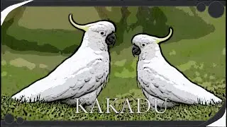 Kakadu (příběh)
