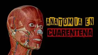 ¿Cómo es CURSAR ANATOMIA VIRTUAL?  🦴😨 | JohanF 👨🏻‍⚕️