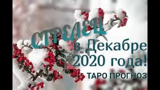 СТРЕЛЕЦ! ТАРО ПРОГНОЗ НА ДЕКАБРЬ 2020 ГОДА!