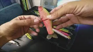 Большая щучья коробка