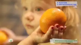 Еда живая и мертвая   Научное расследование Сергея Малоземова Эфир от 15 10 2016
