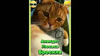 Анекдот про Люська бросила. 