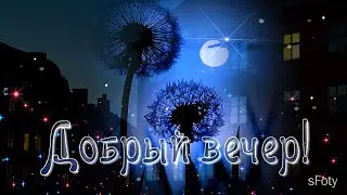 Спустился тихо вечер и ночь спешит навстречу!
