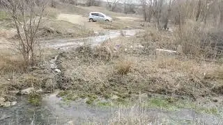 р  Елшанка
