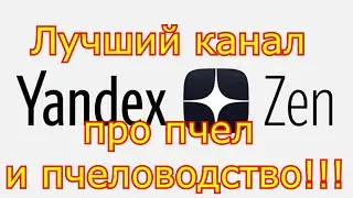 Создали лучший канал про пчел и пчеловодство на Яндекс Дзен!!!