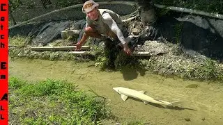 We are BUILDING our PET STURGEON a COLD WATER Crystal Clear RIVER SYSTEM in FLORIDA!