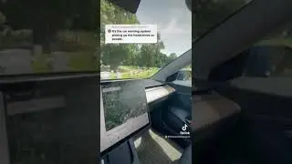 TESLA CAN SEE ANIMAL SPIRITS 