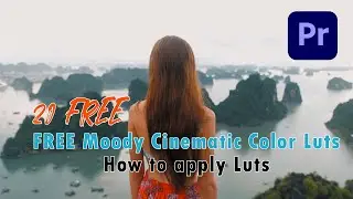20 FREE Moody Cinematic Color Luts | How to apply Luts in Adobe Premiere Pro (Free Cinematic Luts)