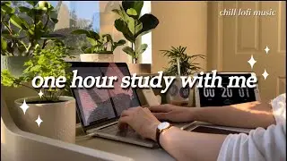 one hour study with me, chill lofi music